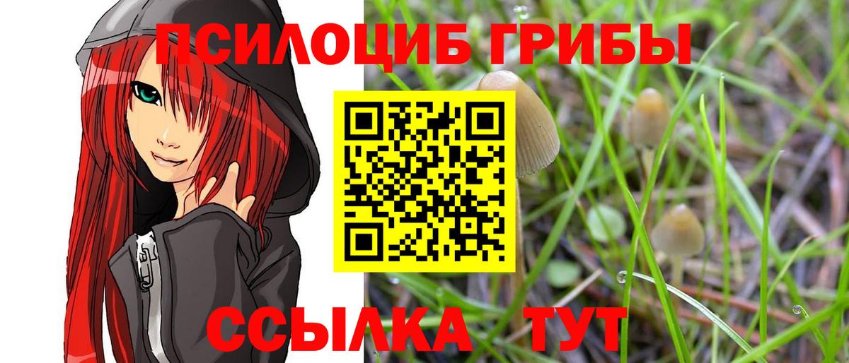 Псилоцибиновые грибы мухоморы  Вход с VPN  Ишимбай 