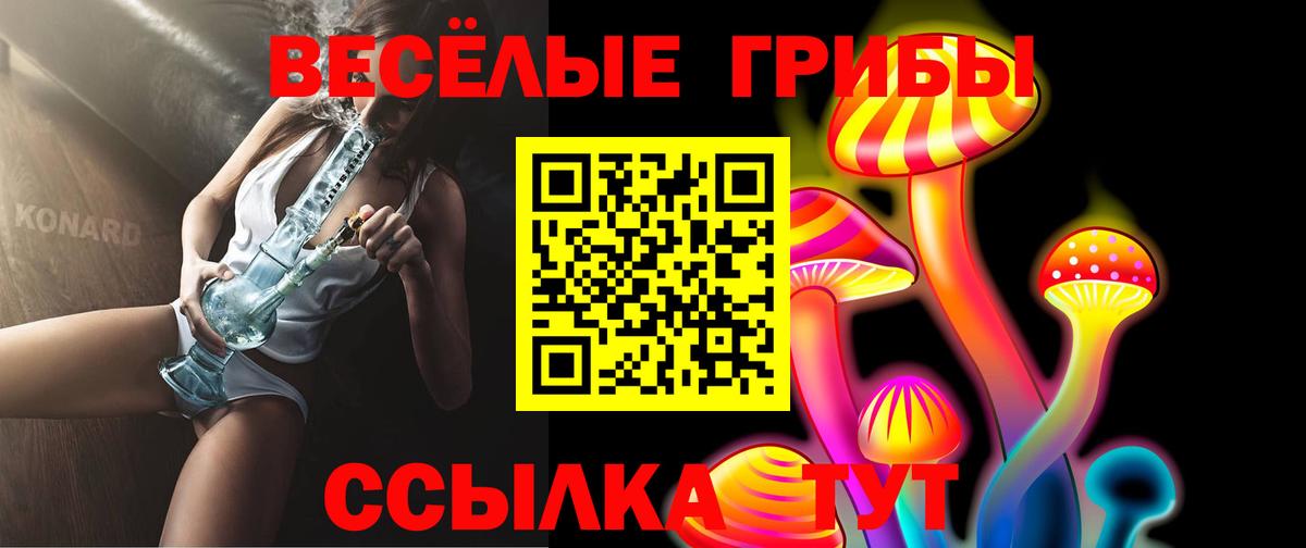 Псилоцибиновые грибы Psilocybine cubensis Ишимбай